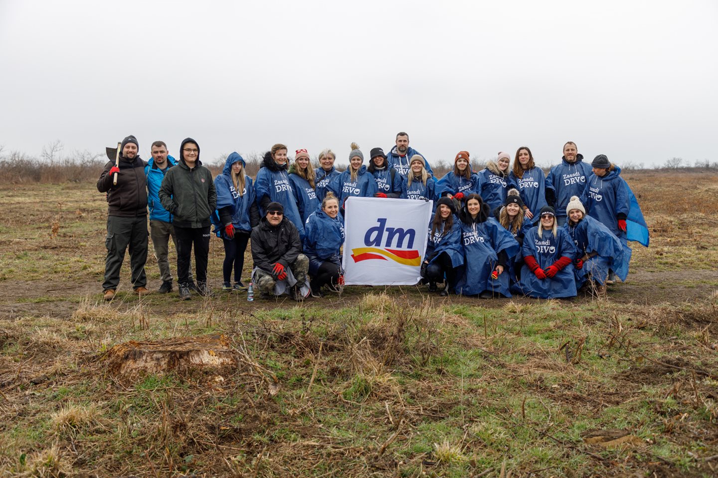 Zasadi drvo III sezona